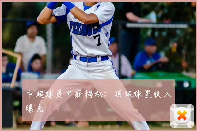 中超球员年薪揭秘：顶级球星收入曝光