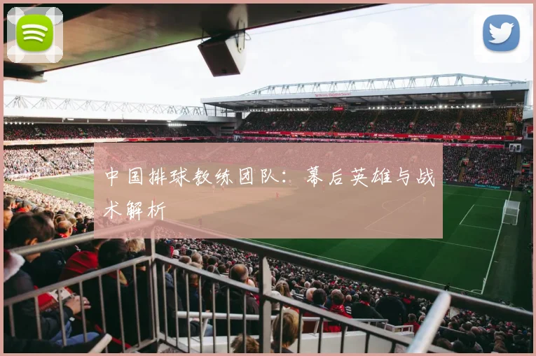 中国排球教练团队：幕后英雄与战术解析